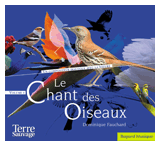 861-chant-oiseaux-nature